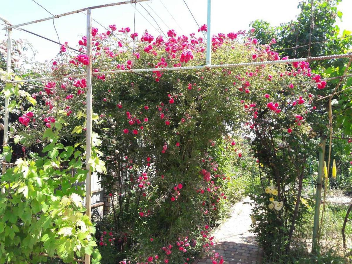 منزل الضيف سانجييكا  في Sea house المظهر الخارجي الصورة